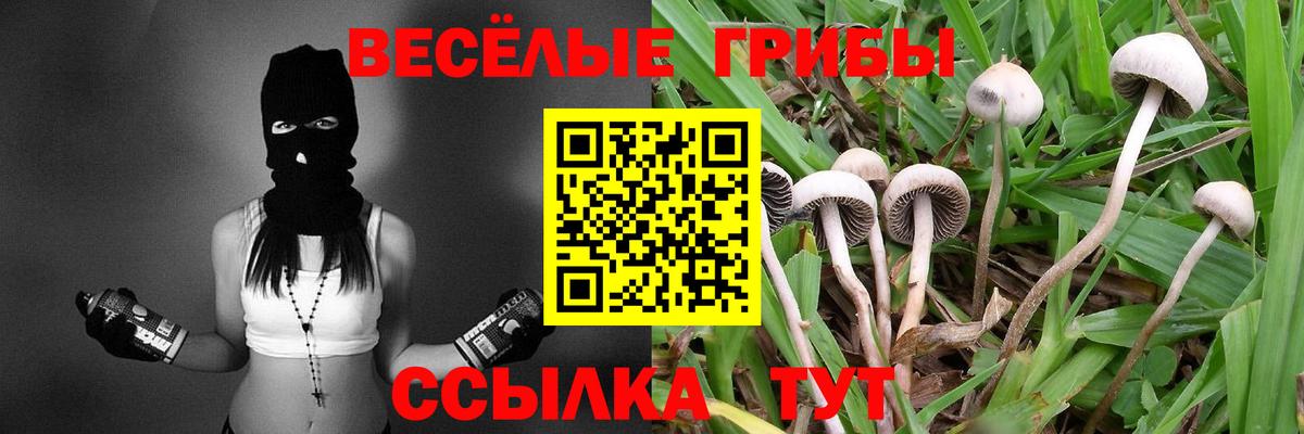 Псилоцибиновые грибы GOLDEN TEACHER Надым
